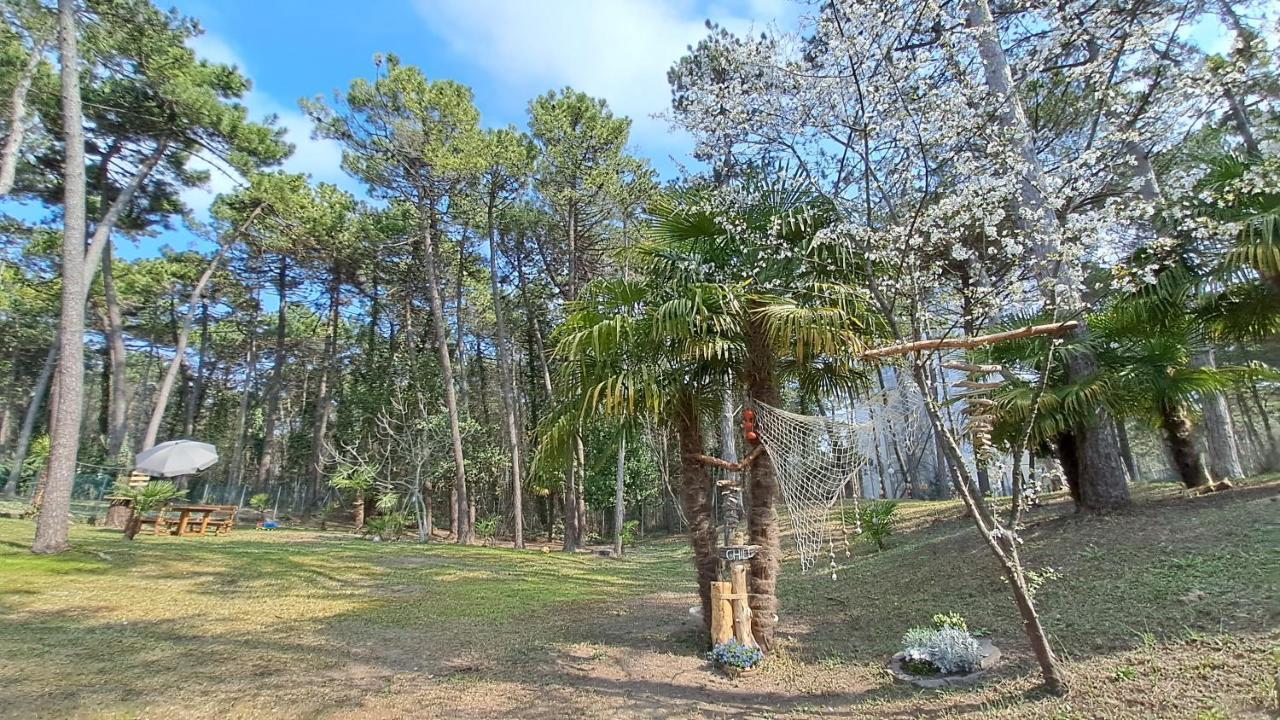 Villa Barbara Fra I Pini لينانو سابيادورو المظهر الخارجي الصورة