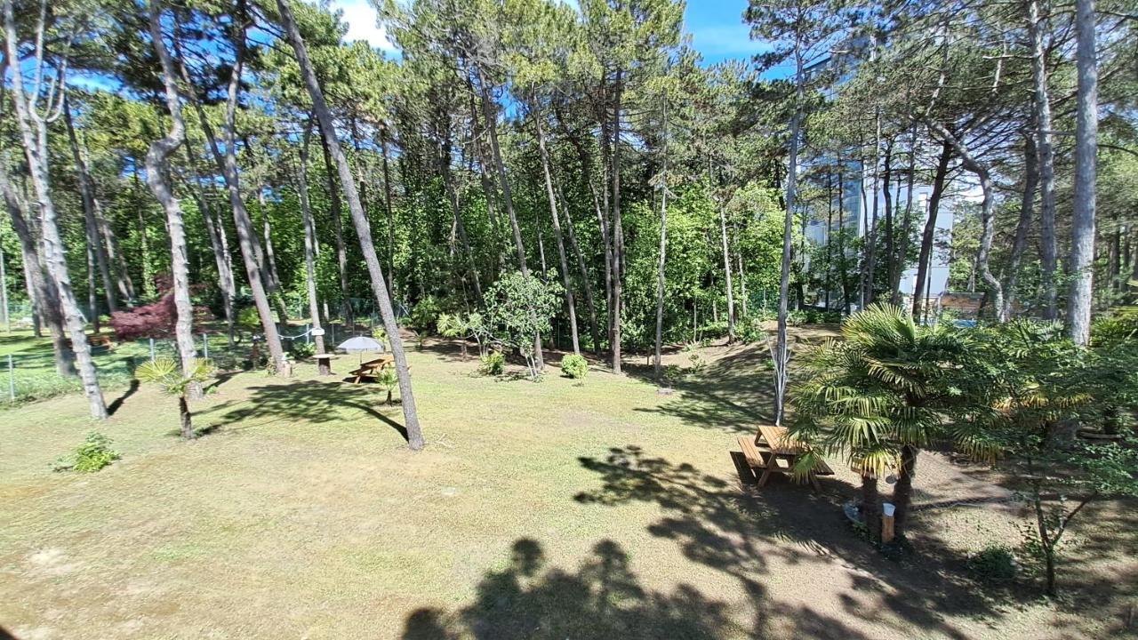 Villa Barbara Fra I Pini لينانو سابيادورو المظهر الخارجي الصورة